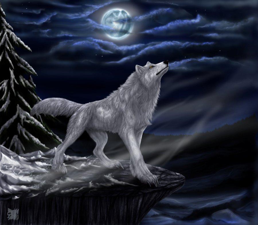 赵州录 之 如何是平常心 狐狼野干是 知乎