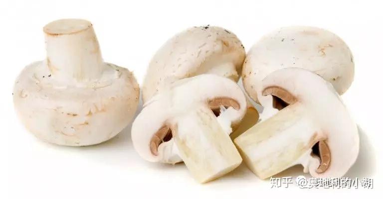 如何做出健康的蘑菇浓汤 知乎