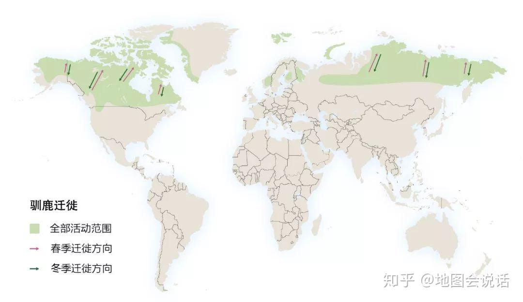 大迁徙地球上最伟大的生命旅程