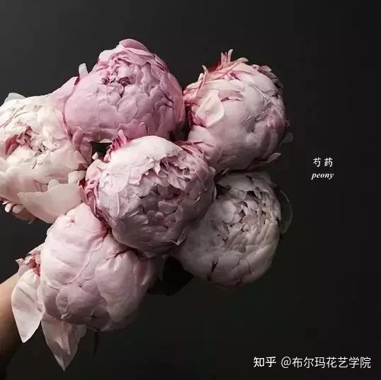 各种常见花的英文 各种花的英文名称 花的英文名字大全