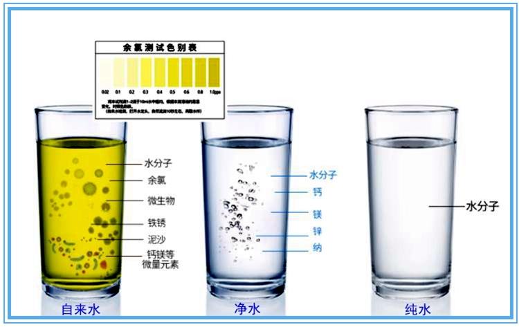 v2-fc659648bfee693ca81fbd76451495a6_r.jpg