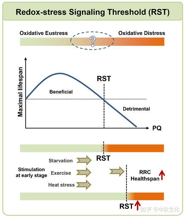 Free Radical Biology And Medicine Free radical biology and medicine