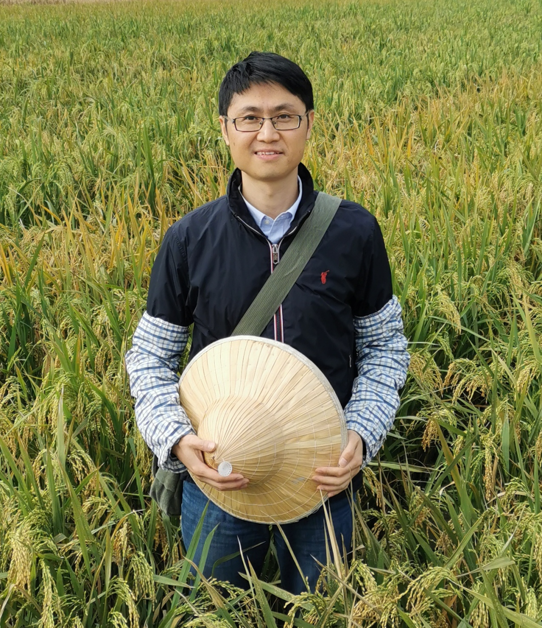 专访王克剑 | 解决杂种优势固定难题:水稻中实现自繁克隆种子,结实率媲美野生型 - 知乎
