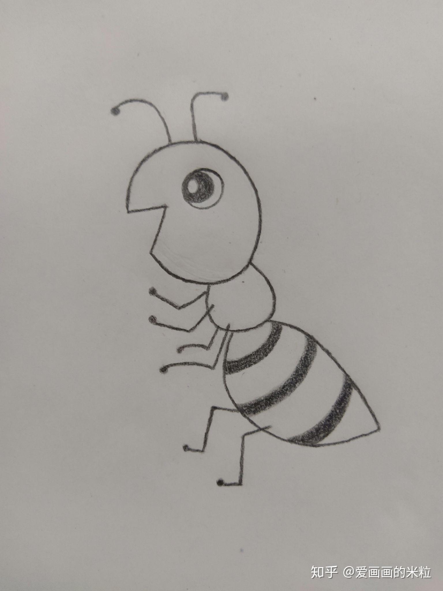3到5岁简单的学画过程 漂亮简笔画蚂蚁的画法 丫丫小报