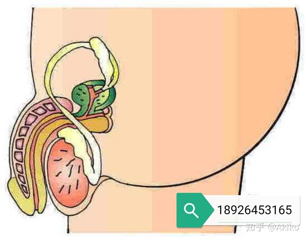 男性射精障碍的原因有哪些