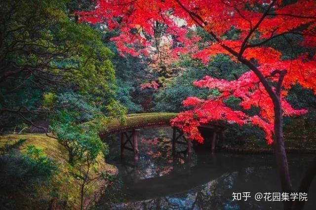 看世界 | 日本20个经典枯山水庭院，带你感受日式庭院经典之美 - 知乎