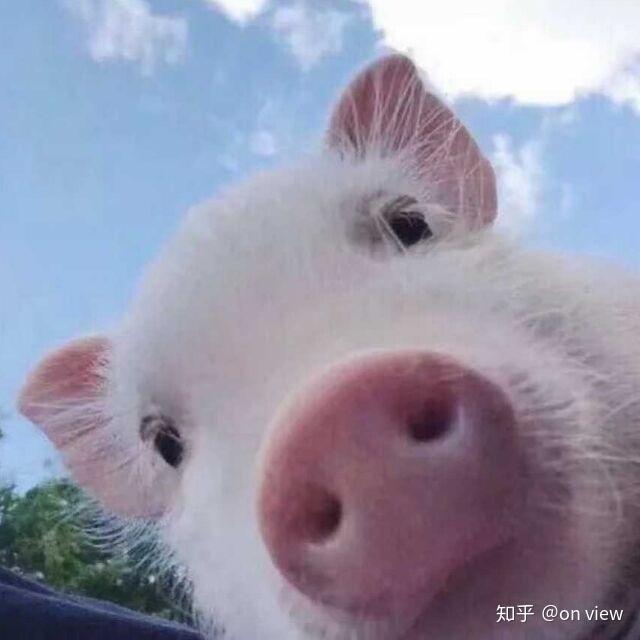 长得帅的足球明星有哪些?