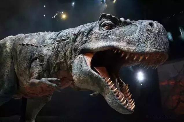 舞台剧《与龙同行》