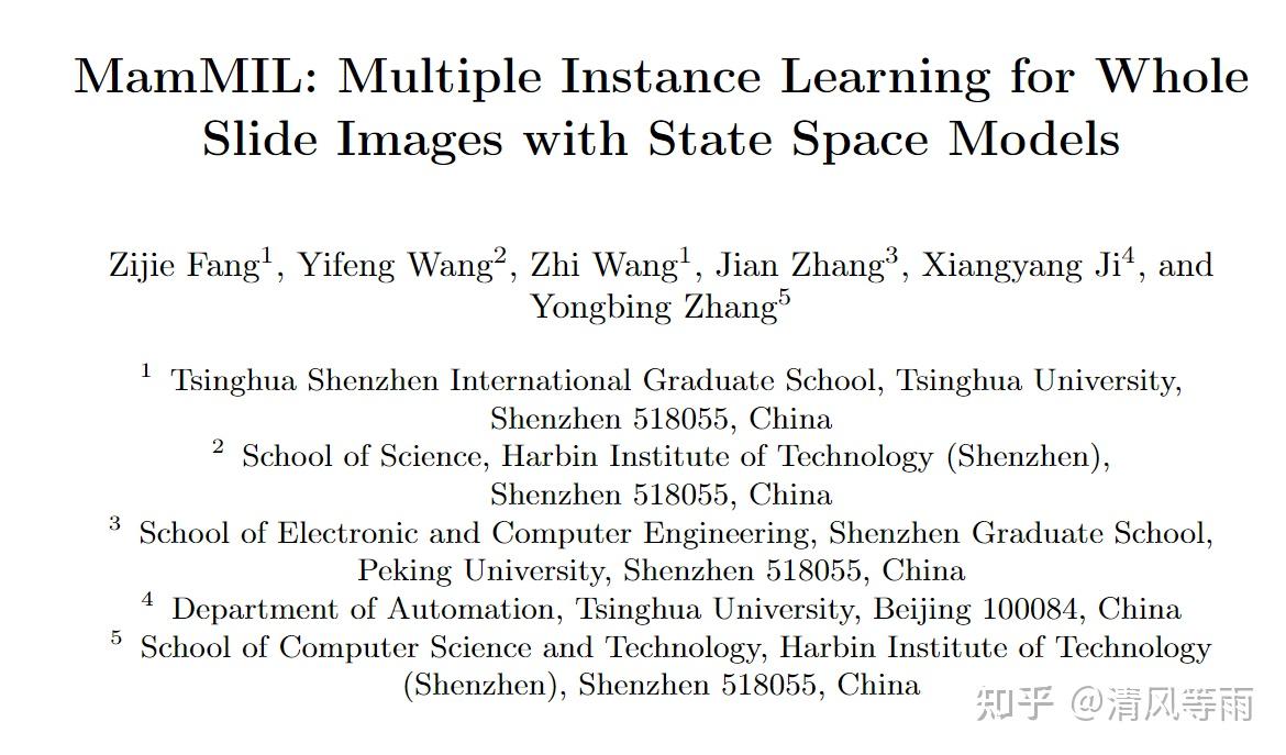 论文阅读 MamMIL: Multiple Instance Learning for Whole Slide Images with ...