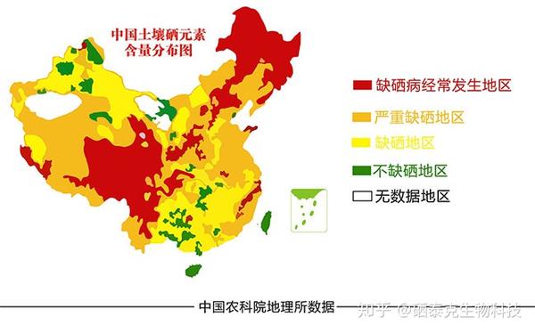 为什么硒需要天天补？原因在这 - 知乎