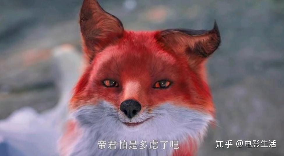 比起《三生三世枕上书》里的红狐狸,《枕上书》里的这只显得更生动