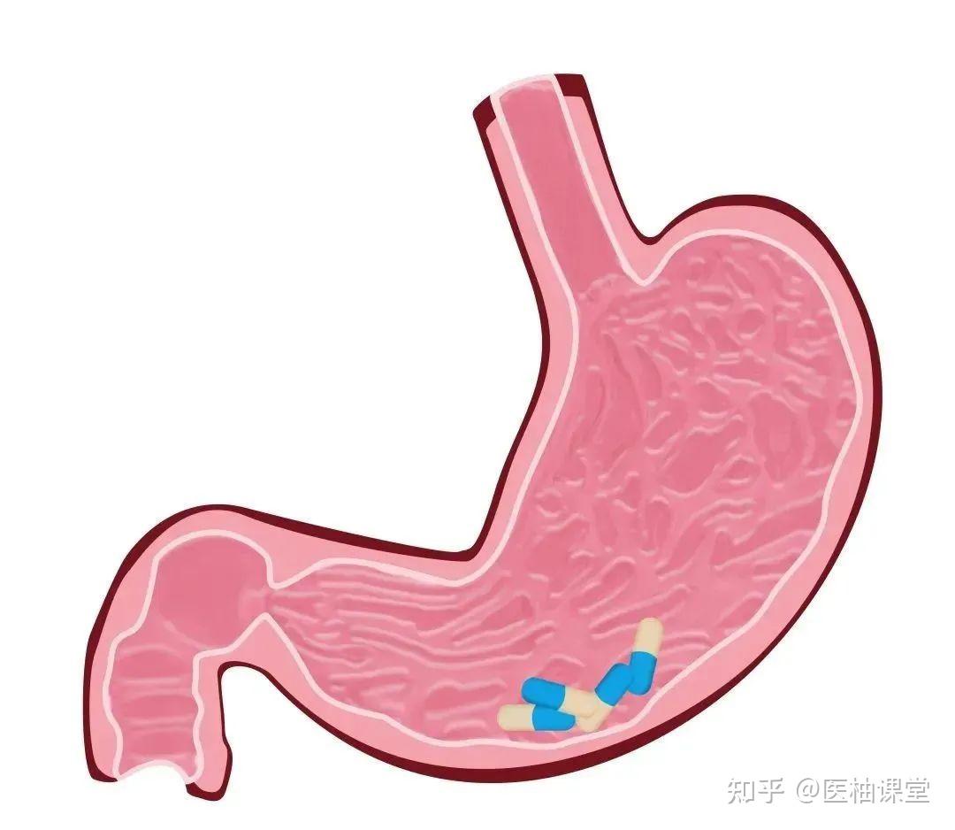 毁掉一个胃需要多长时间？这7个伤胃的坏习惯不可忽视！ - 知乎