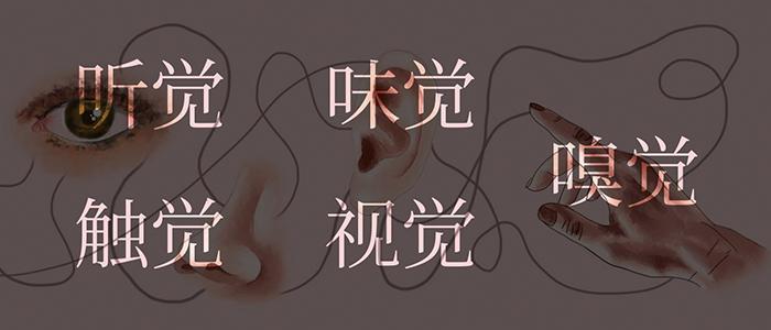 什么是“五感设计”? - 知乎