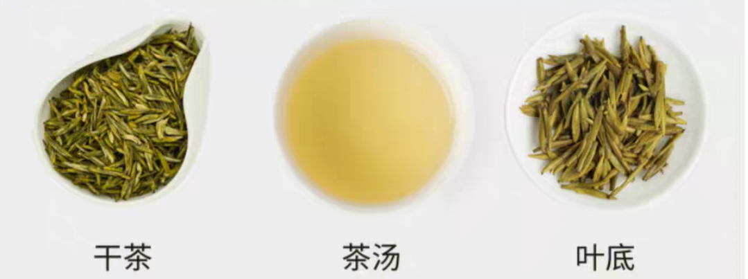黄茶 | 黄茶的关键工艺是什么,特征是怎样形成的 - 知乎