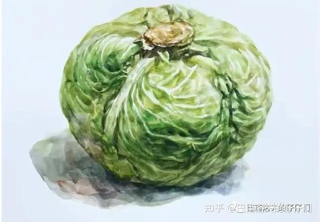 蔬菜水果的人生哲学