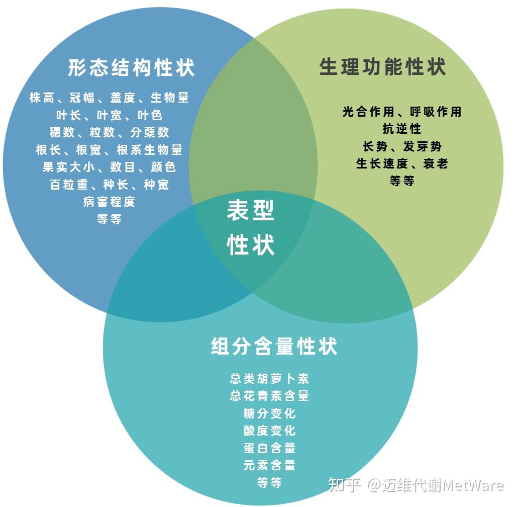 植物表型能够反映植物细胞,组织,器官,植株和群体的