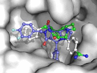 分子对接软件smina安装以及受体配体准备模块安装及其用法简介 - 知乎