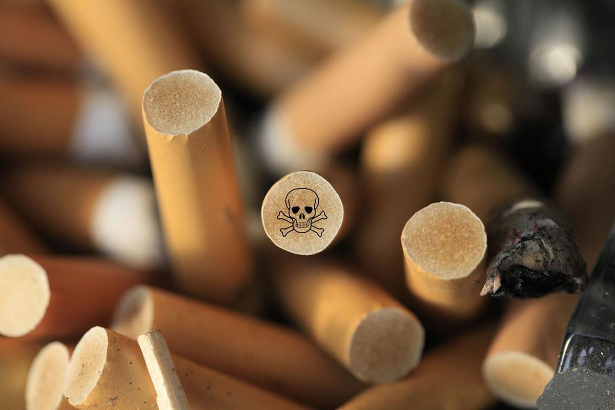 世界无烟日来根华子压压惊