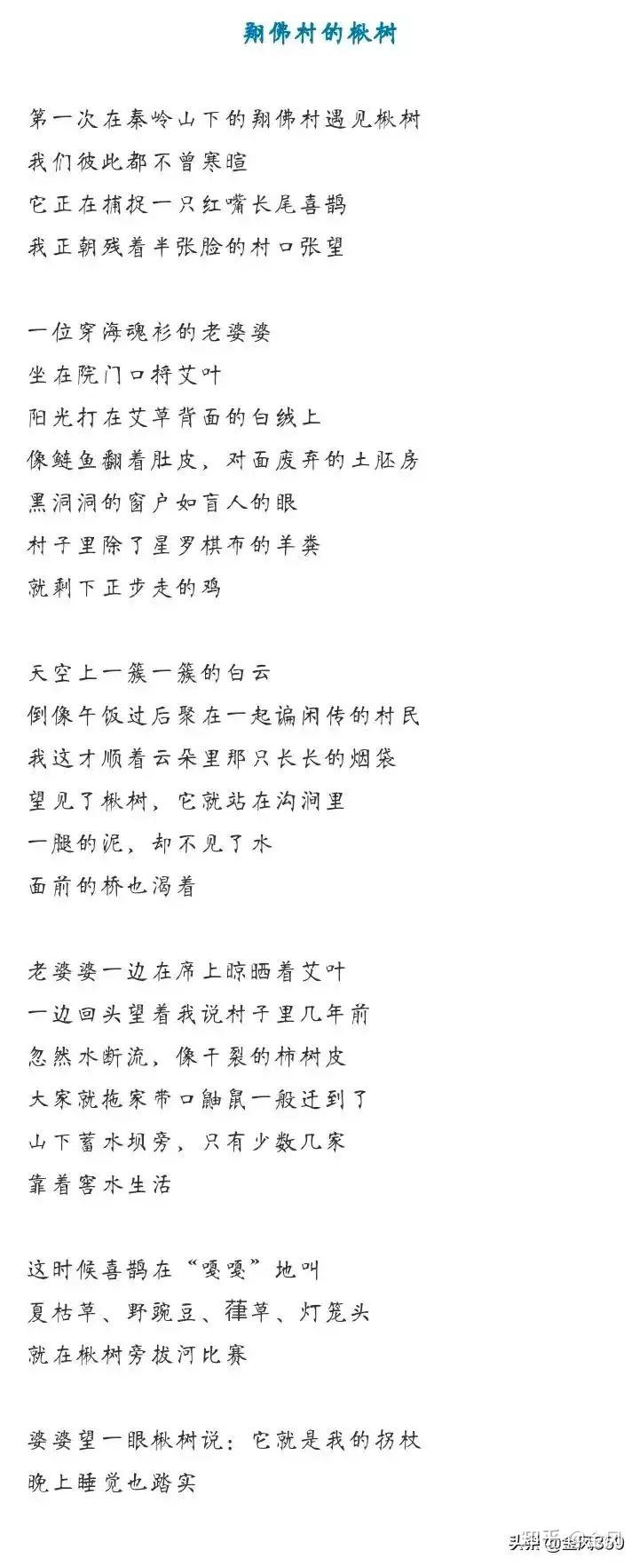 贾浅浅诗歌欣赏61翔佛村的楸树