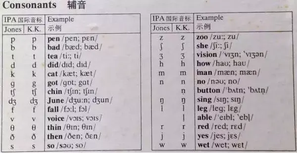 科普丨你真的了解英语音标吗 With的音标是什么 桃丽网 科普丨你真的了解英语音标吗 With的音标是什么 桃丽网