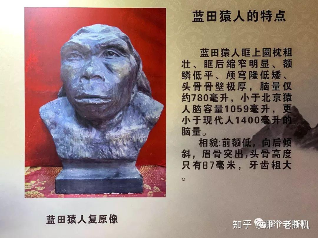老撕机带你游长安-115万年前的西安人和改写中国历史的一顿饭