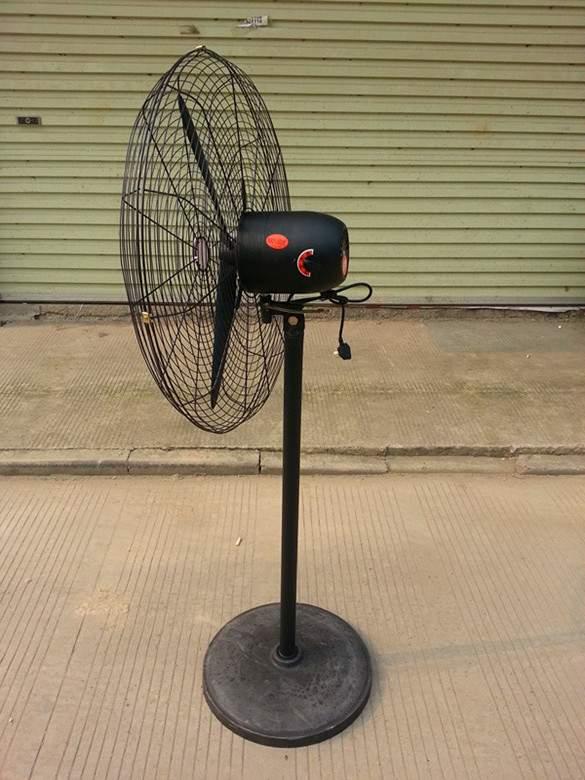 物美价廉牛角扇