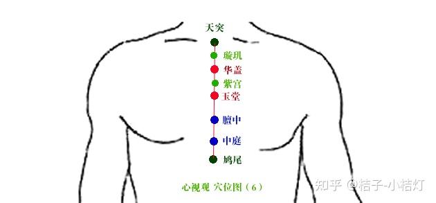 奇经八脉之任脉配视频学习下篇中医普通人也应该学的哲学课10纯干货