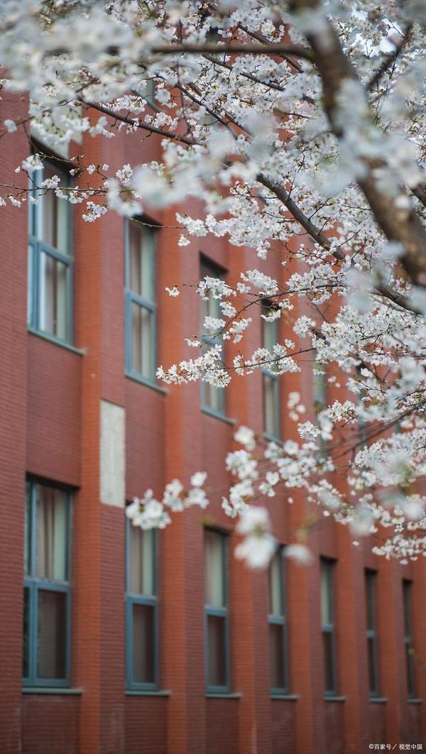 南京大学今年考研分数线_考南京大学研究生录取分数线_南京大学考研录取分数线2024