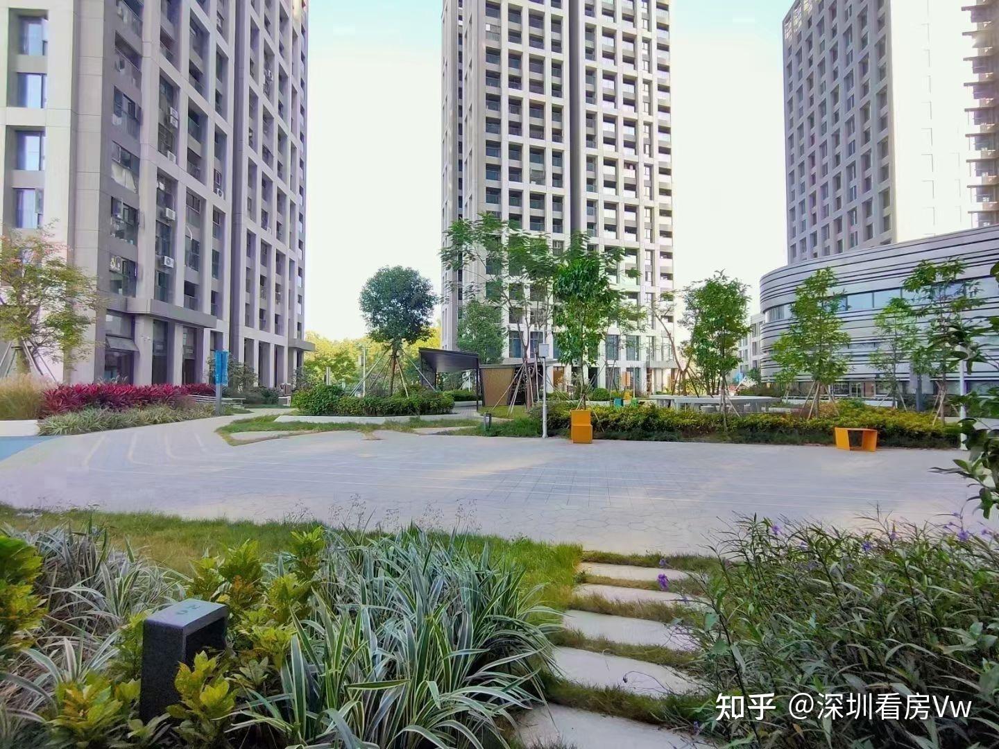 首付50万三房，我在深圳找到温馨的家了！ - 知乎