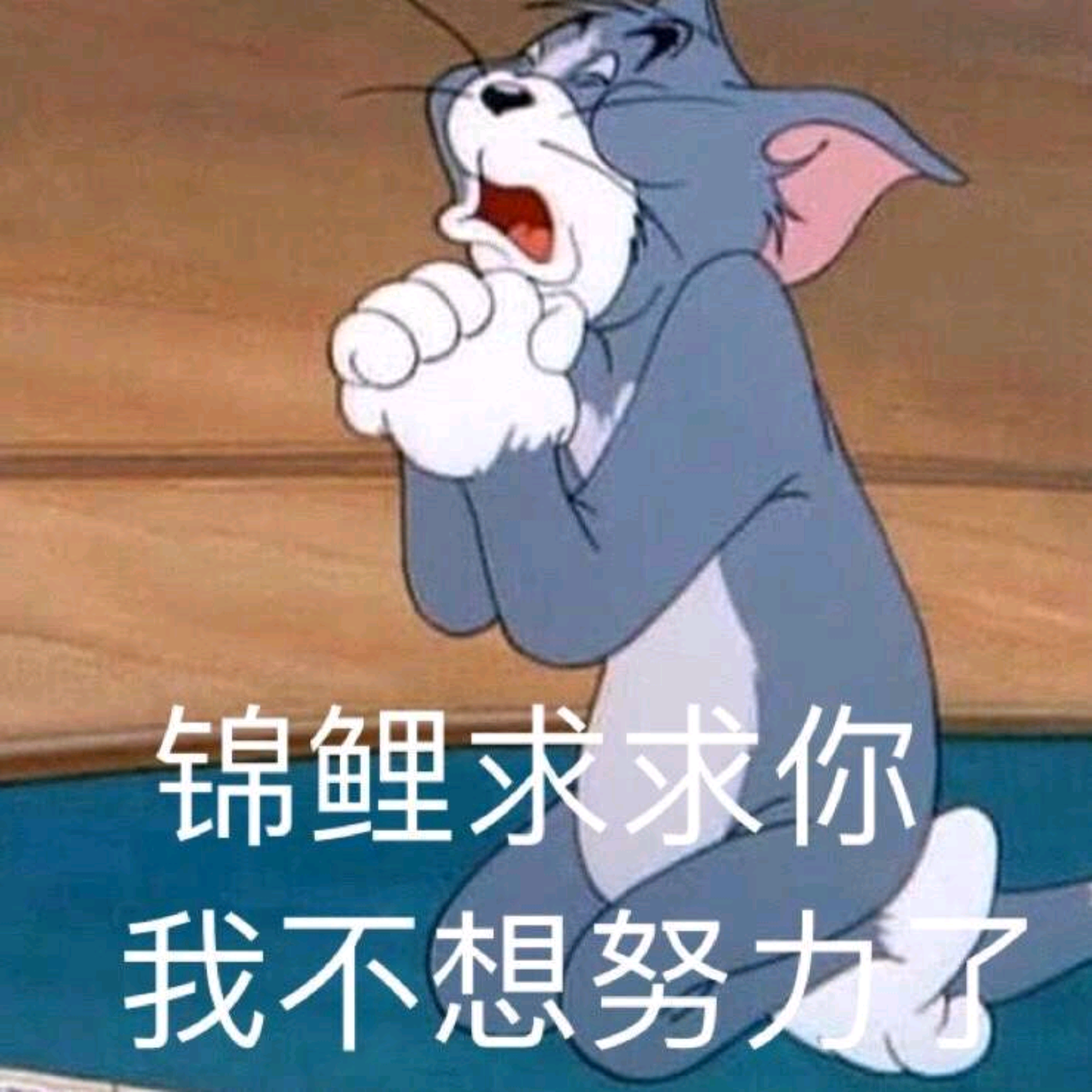 汤姆猫痴呆表情图片