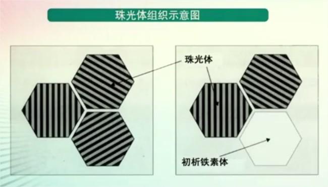 p s c) 加入合金成分這個過程中決定了材料的成分,能有效提高材料的