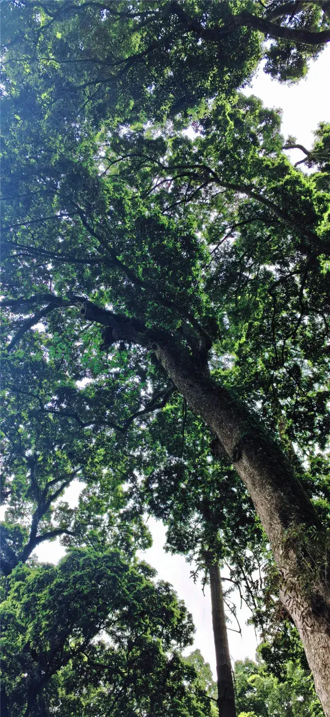 信号连接成功!出发荥经探索宇宙06