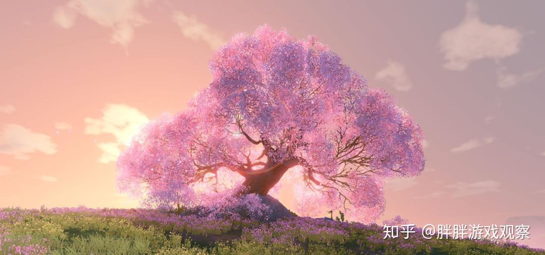 夕阳为三生树打光,莫名惊艳.抓拍两只翻滚的鲸犊子.