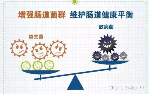 如何调节肠道菌群的平衡呢