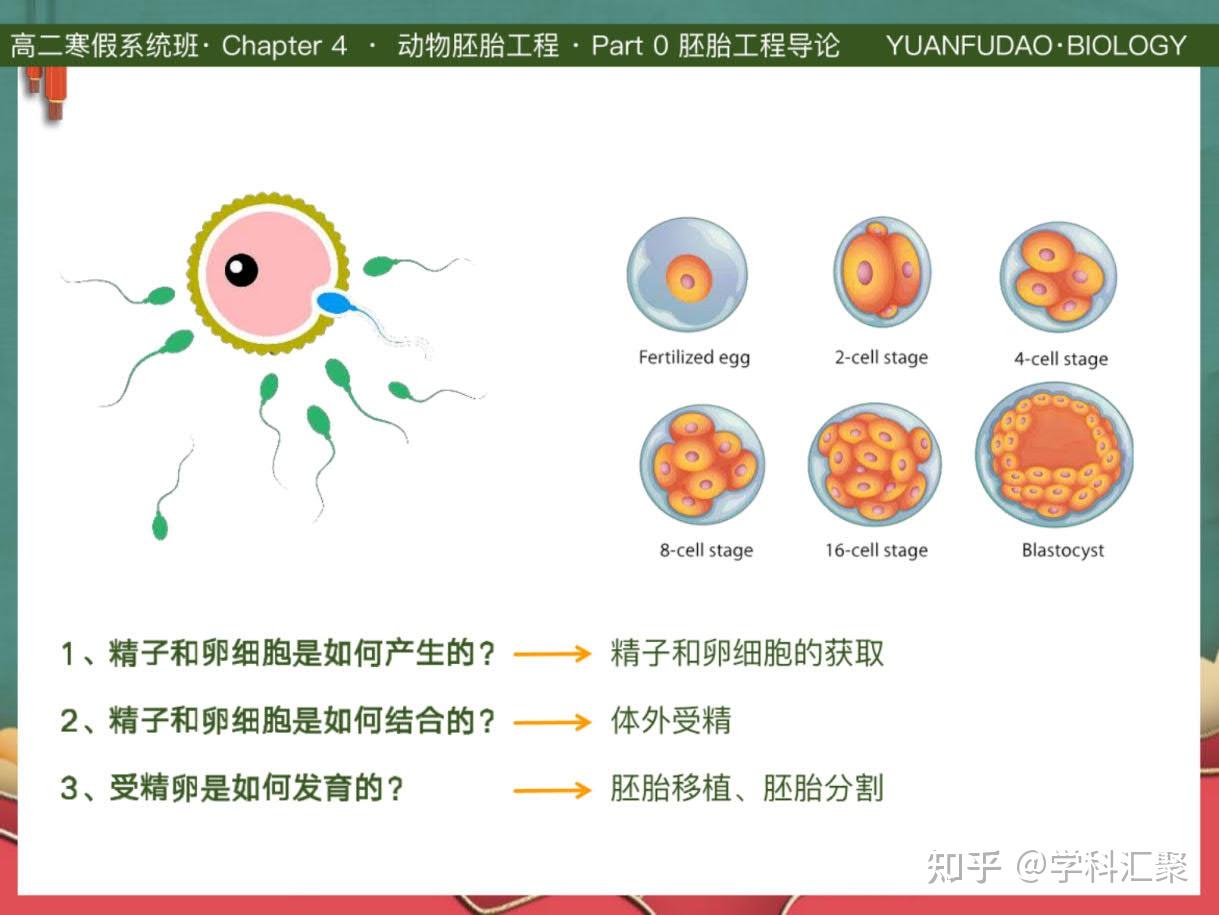 (超详)高中生物 胚胎工程应用知识点总结 - 知乎