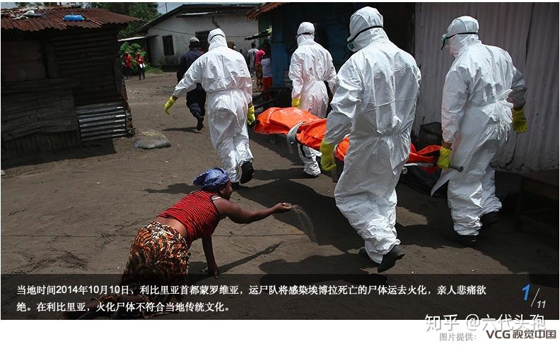 西班牙流感(spanish flu)