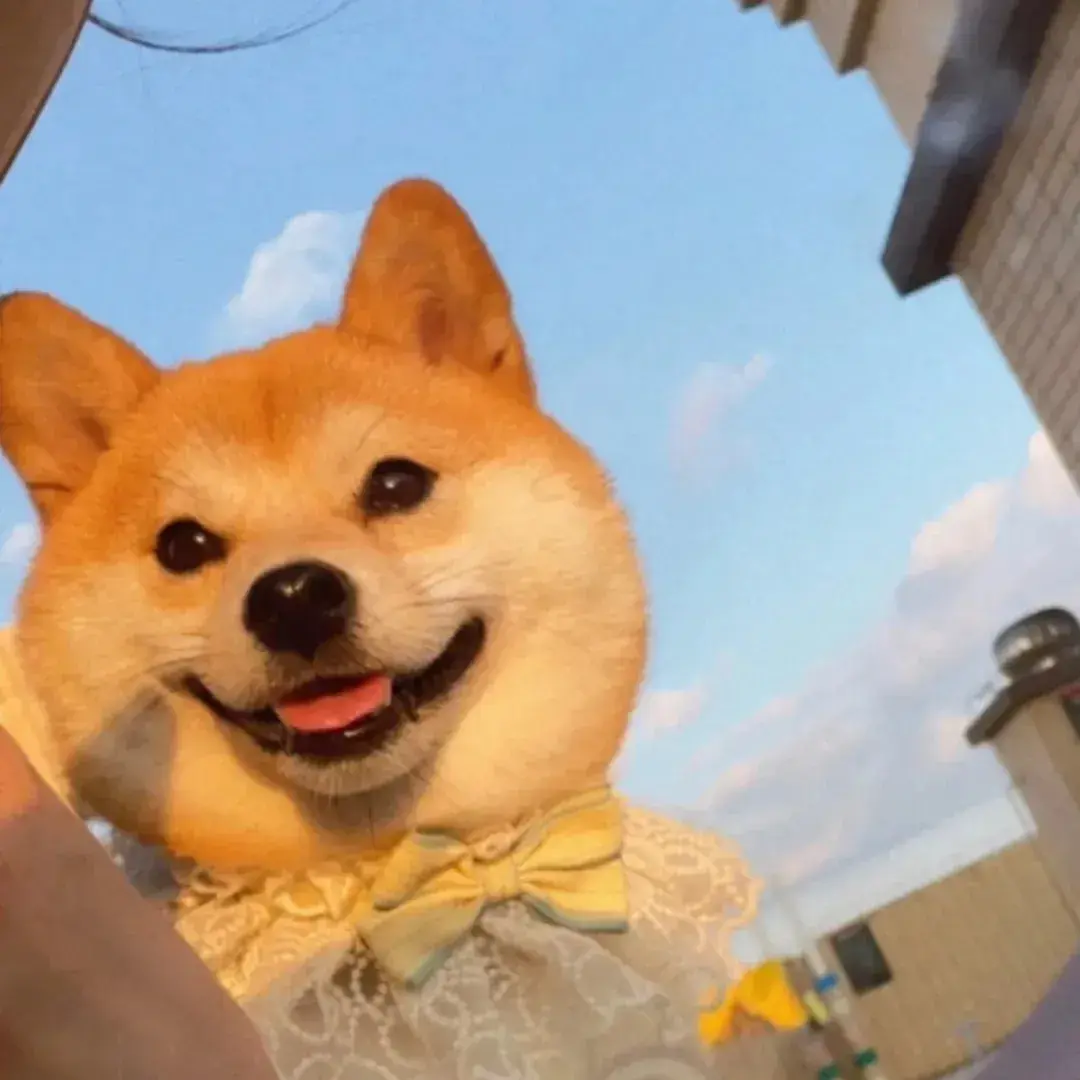 149张好看的情侣头像值得分享