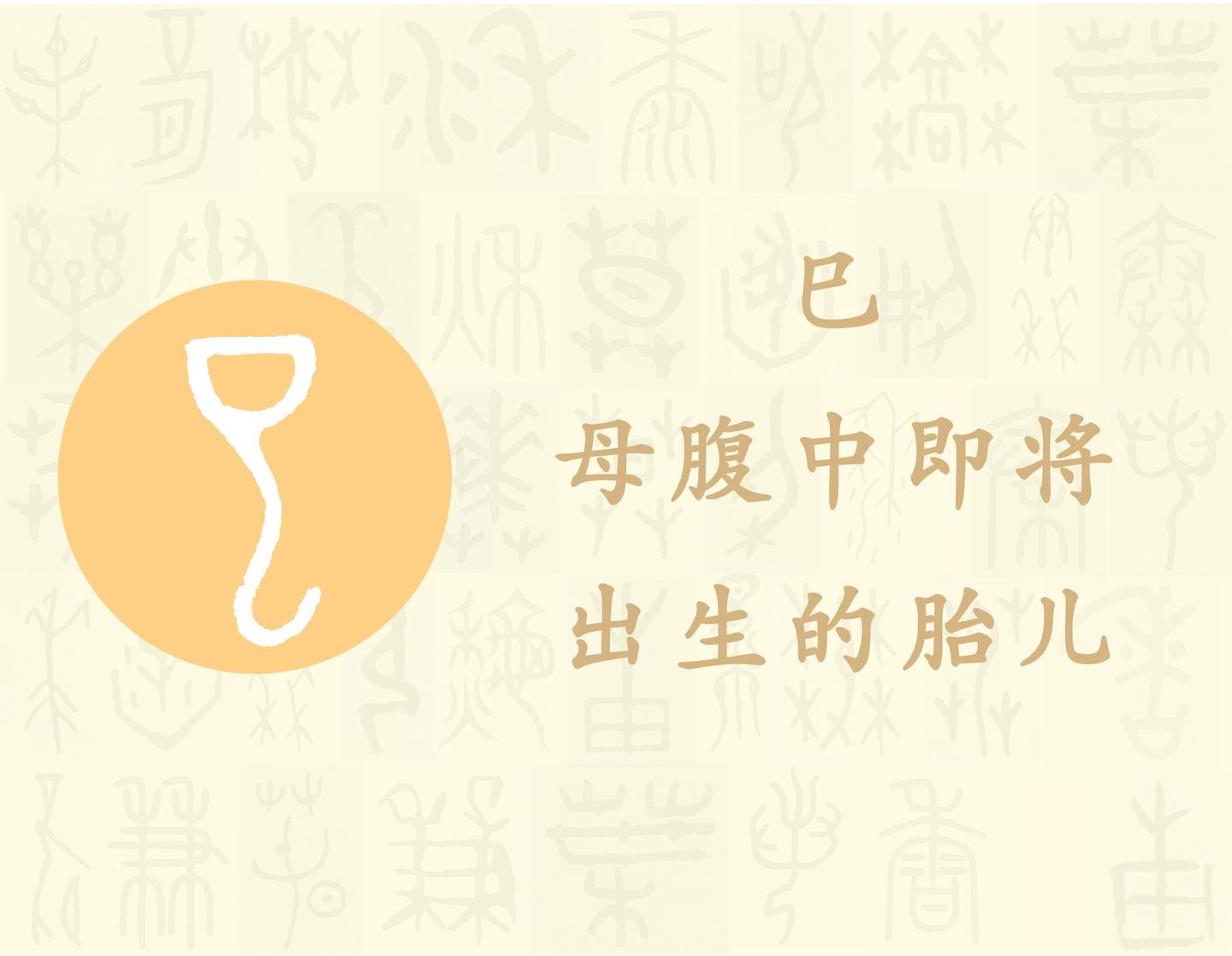 巳 汉字的字元 基数与序数 知乎 巳 汉字的字元 基数与序数 知乎