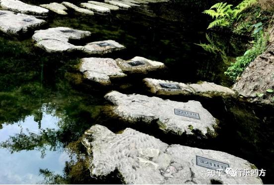 黄果树大瀑布细品-黄果树的瀑布短文答案