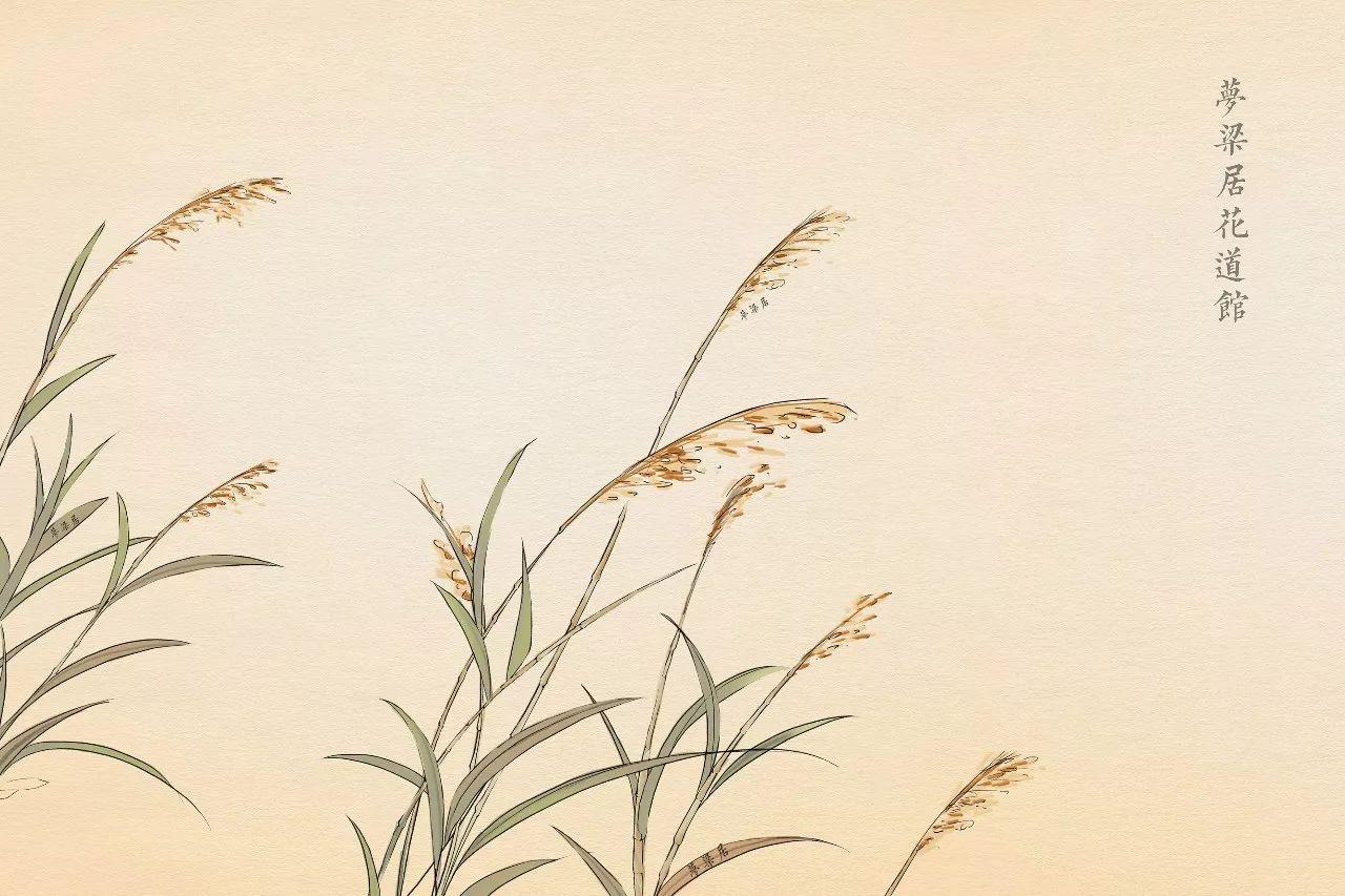 诗经草木美了千年却被淡忘