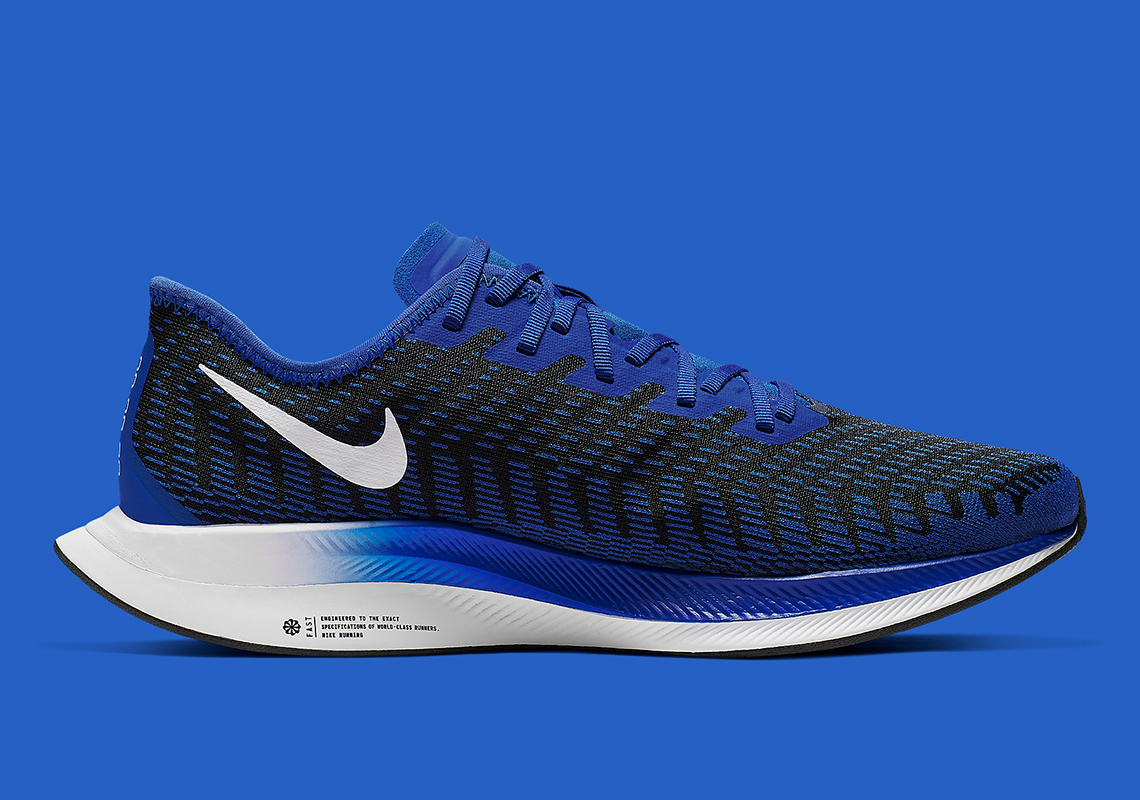 air zoom pegasus turbo 2