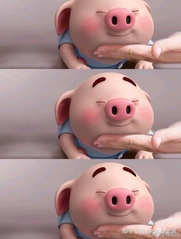 手机里有没有一张能让你一看到它就很开心的图片