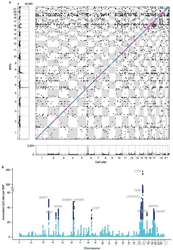 【甲基化】《Nature Genetics》：迄今最大规模的人类DNA甲基化QTL（meQTL）图谱 - 知乎