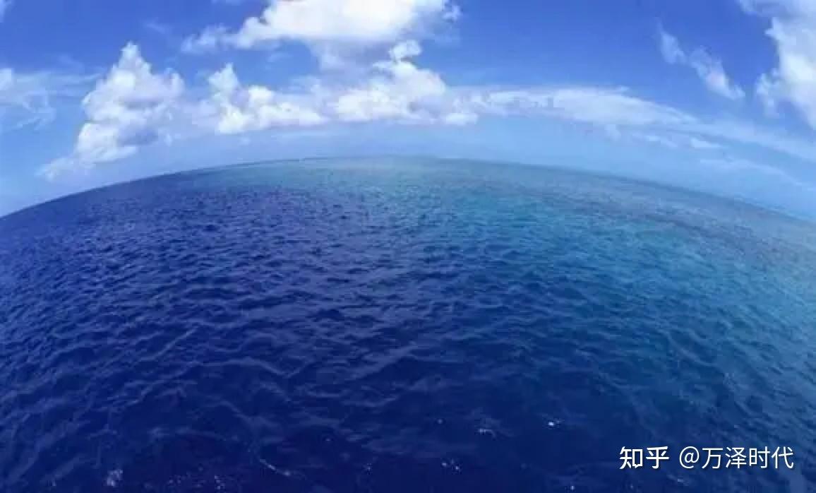 什么是蓝色碳汇 - 知乎