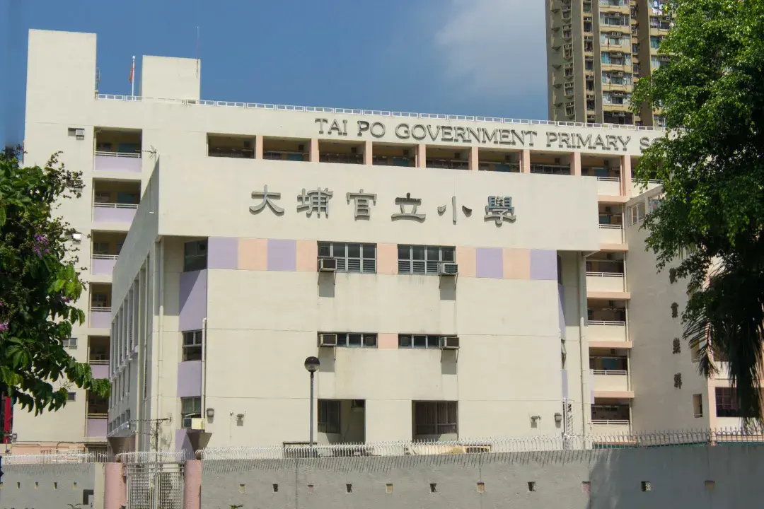 官立小学提供六年免费教育,全港有34 间这类小学,约占学校总数的 7%