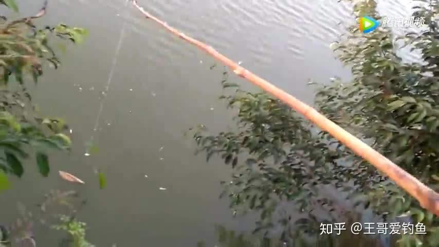 v2-fdcfd465d5af46e5ad1cf4b0b88a526a_r.jpg
