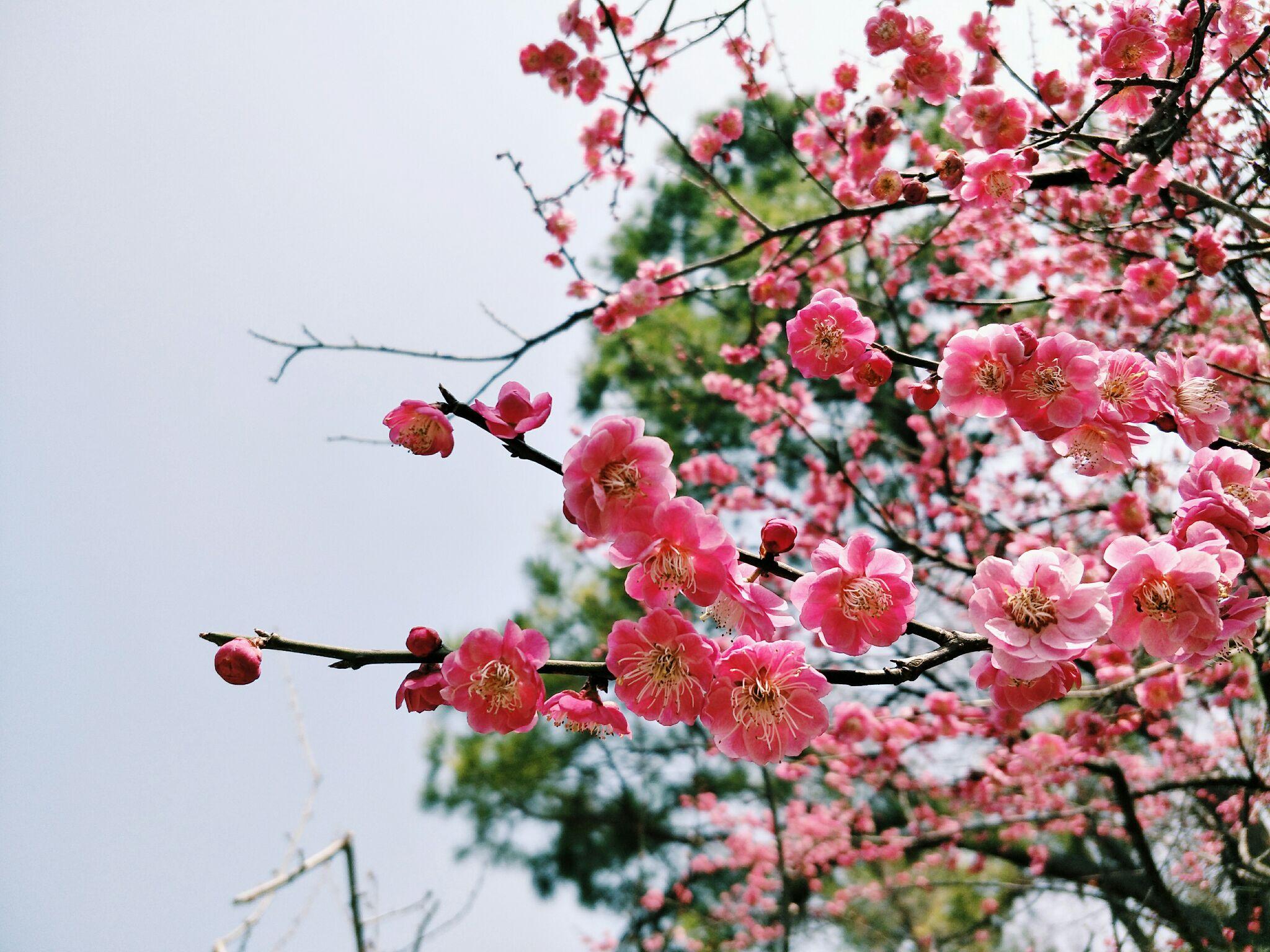 大学的双休日应该如何充实地度过?