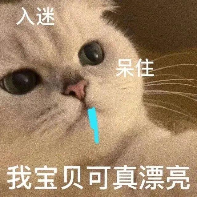 120张万能的表情包推荐-万能表情图片大全