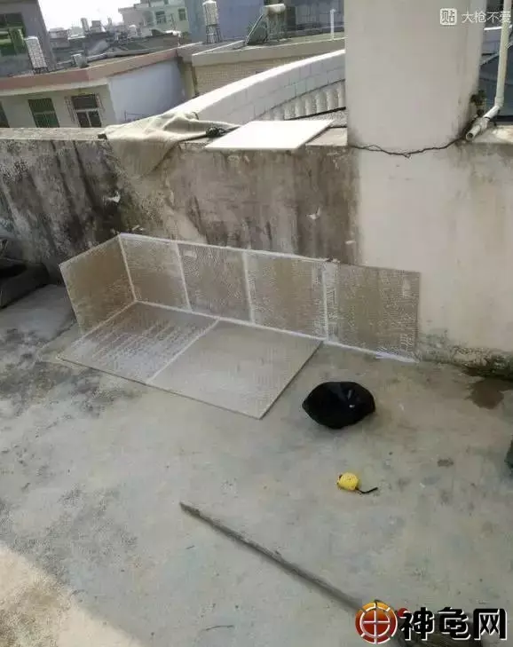 入门级瓷片龟池怎么建造这里有超详细讲解