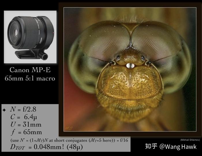 32镜头曝光以及对焦下